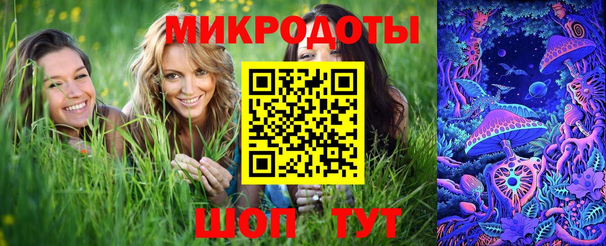 купить наркотики цена  Вход с VPN  Дмитров  Псилоцибиновые грибы Psilocybine cubensis 